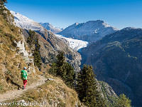 Blick zum Aletschgletscher mit Bettmer- und Eggishorn. : Aletschgletscher