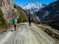 Geschliffene Felsen zeugen davon, dass der Gletscher früher das ganze Tal ausfüllte. : Aletschgletscher