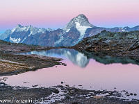 Bei der Lötschenpasshütte: Das Bietschhorn (3934 m) wird in zartrosa Licht getaucht. : Balmhorn Gitzigrat