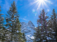 Ein wunderbarer März-Tag auf der Bannalp. Heute mache ich mich auf, den kurzen Schneeschuhtrail zu erkunden. Er ist gut mit Stangen markiert, aber nicht gepfadet (zum Glück!) und zieht in einer Schlaufe von der Bergstation Chrüzhütte hinunter zum Berggasthaus Bannalpsee, weiter hoch zum Berggasthaus Urnerstafel und zurück zur Bahn. : Bannalp, Schneeschuhtour, Winter