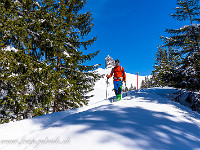 Angenehme Temperatur und schöner - teilweise sogar unverspurter - Neuschnee begleiten mich. : Bannalp, Schneeschuhtour, Winter