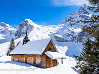 ... : Bannalp, Schneeschuhtour, Winter