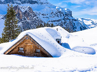 Es liegt noch viel Schnee, hier auf 1700 m, trotz gleissender Märzsonne. : Bannalp, Schneeschuhtour, Winter