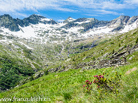 Wunderbar blühen die Alpenrosen : Bassa del Barone, Chironico, Rifugio della Alpe Sponda