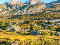 In der Bildmitte thront der Bergseeschijen. : Bergseeschijen, Göscheneralp, Schijenstock, Spiegelung, Tümpel