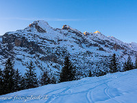 Bei einer kurzen Schneeschuhtour auf dem Brüsti geniessen wir den kürzlich gefallenen Schnee und den Sonnenschein. : Schneeschuhtour Brüsti