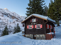 Bald geht die Sonne auf beim Sonnigblick ... : Schneeschuhtour Brüsti