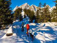Wir folgen dem Schneeschuhtrail, den wir für die Schweizer Wanderwege rekognoszieren. : Schneeschuhtour Brüsti