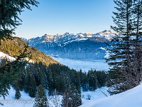 Das Reusstal liegt im Nebel. Am Raureif an den Bäumen des gegenüber liegenden Hanges ist die Nebelgrenze der letzten Tage gut zu erkennen. : Schneeschuhtour Brüsti