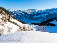 Die etwas steileren Südhänge auf dieser Höhe sind fast aper. : Schneeschuhtour Brüsti