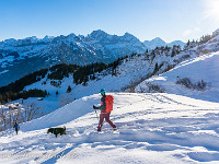 Aber wir kommen wieder: Das Eggenmandli (2448 m) sparen wir uns für das nächste Mal auf. : Schneeschuhtour Brüsti