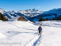 Hinter Chulm. : Schneeschuhtour Brüsti