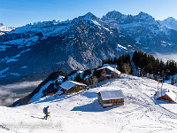 Brüsti. : Schneeschuhtour Brüsti