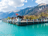 Die Jungfrau bringt uns zurück nach Brienz. : Brienz Brienzersee Giessbachfälle Wasser Wasserfall