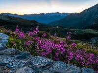 Morgendämmerung. Heute steht der Pizzo Forno mit Abstieg via Rifugio Alpe Sponda nach Lavorgo auf dem Programm. : Campo Tencia, Cresta dei Tre Corni, Pizzo Forno