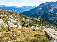 Abstieg zum Rifugio Alpe Sponda. : Campo Tencia, Cresta dei Tre Corni, Pizzo Forno