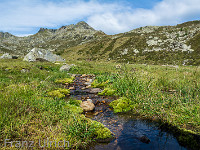 Alpe di Croslina : Campo Tencia