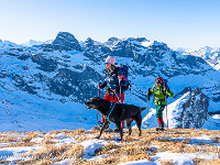 Der Chaiserstuhl weist ein weites Gipfelplateau und eine herrliche Rundsicht auf. : Schneeschuhtour Chaiserstuhl