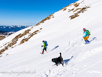 Aber im Schnee macht es doppelt Spass (jedenfalls für diejenigen, die nichts anderes kennen). : Schneeschuhtour Chaiserstuhl