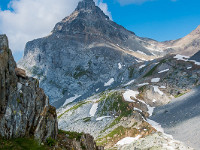 Schon stehe ich auf dem Unteren Furggeli, mit einem letzten Blick zur Chli Windgälle. : Alpenblume, Berg, Chli Windgällen, Grossblütige Gemswurz, gelb