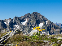 Bristen, 3073 m. : Etzlihütte Praktikum Hüttenwartskurs