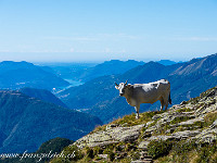 In angenehmer Steigung führt der markierte Weg hoch zur Bocchetta d'Erbea (2251 m). Die Aussicht reicht bis weit nach Italien. : Cima dell'Uomo