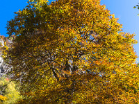 Farbenpracht im Val Tomè. : Corona di Redorta