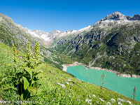 Mitte Juli ist der See noch nicht ganz gefüllt. Der Blick geht zum Chelenalptal mit dem Chelenfirn und Chelengletscher. : Dammahütte, Göscheneralp, Göscheneralpsee