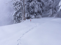 Tiefverschneites Eigenthal im Januar 2024. Ich stapfe durch 40 cm Tiefschnee Richtung Rosenboden. : Schneeschuhtour Regenflüeli