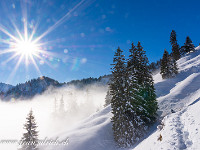 Unten grau, oben blau. Auf 1300 m bricht die Sonne durch! : Schneeschuhtour Regenflüeli