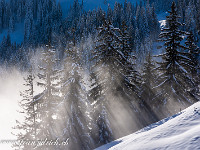 Herrliches Lichtspiel. : Schneeschuhtour Regenflüeli