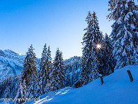 Sonnenstern. : Schneeschuhtour Regenflüeli