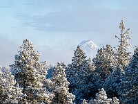 2025-01-12 Fürstein 800 DSC3598 : Schneeschuhtour Fürstein