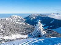 2025-01-12 Fürstein 800 DSC3602 : Schneeschuhtour Fürstein