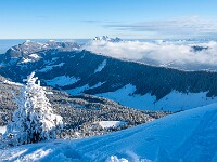 2025-01-12 Fürstein 800 DSC3605 : Schneeschuhtour Fürstein