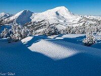2025-01-12 Fürstein 800 DSC3609 : Schneeschuhtour Fürstein