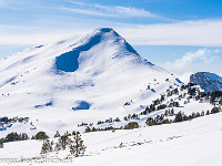 Nun ziert eine weitere Spur den Fürstein. : Fürstein, Schnee, Schneeschuhtour, Winter