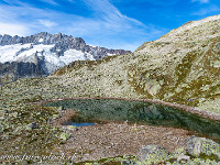 Bergsee (er heisst wirklich so), 2341 m. : Bergseehütte - Chelenalphütte, Göscheneralp