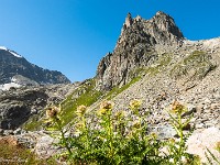 Brunnestock (2763 m). : Giglistock
