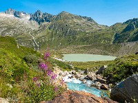 Steisee und Sustenpass. : Giglistock