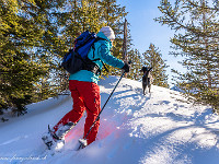Mit unseren Schneeschuhen spuren wir den kurzen Schneeschuhtrail (ca. 1 Stunde). : Gitschenen, Isenthal, Schnee, Schneeschuhtour, Winter