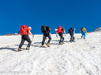 Über den Tiefengletscher steigen wir hoch. : Aufstieg, Gletschhorn Südgrat, OGH, Schneefeld, steil