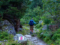 Aus dem 14. Jahrhundert datiert die erste belegte Nutzung des Grimselpasses für den Saumverkehr. Wahrscheinlich wurde der Pass aber schon früher, zur Römerzeit genutzt. : Grimsel