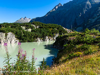 Am Räterichsbodensee. : Grimsel