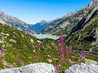 Räterichsbodensee. : Grimsel