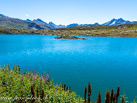 Totesee am Grimselpass. : Grimsel