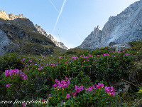 Von der Ruchenchälen habe ich schon viel gehört und gelesen und bin gespannt, wie sie zu begehen ist. Zuerst geht es 600 Höhenmeter über Wiesen und Grasrücken hoch gegen den Punkt 2033 m.