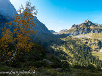 Nach einem Tag in der kargen Fels- und Eiswelt ist es schön, wieder zurück in der Vegetation zu sein. Vor allem bei diesen leuchtenden Herbstfarben.