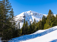 Heute gehen wir mit den Schneeschuhen auf den Höch Gumme. In wenigen Minuten bringt uns die Luftseilbahn  von Lungern nach Turren. Vor uns zeigt sich das Wilerhorn. : Höch Gumme, Lungern, Schneeschuhtour, Schönbühl