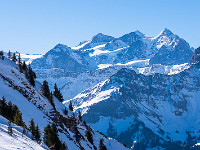 Die Aussicht auf die Berner Alpen ist prächtig: Dossen-, Rosen-, Mittel- und Wetterhorn. : Höch Gumme, Lungern, Schneeschuhtour, Schönbühl
